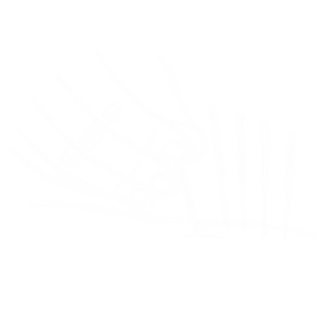 Dry needling bij ProAktiv. – gerichte behandeling van spierknopen en triggerpoints